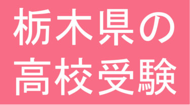 発達障害(LD・ADHD・自閉スペクトラム症)・グレーゾーン・ギフテッドの高校受験対策(栃木県)