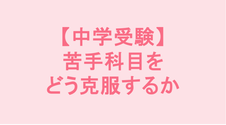 学校補習・中学受験・高校受験に対応した発達障害(LD/ADHD/自閉症スペクトラム)・ギフテッド(2E)のオンライン個別指導塾・発達支援塾リバランス