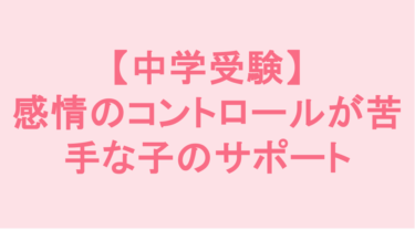 【中学受験】感情のコントロールが苦手な子のサポート