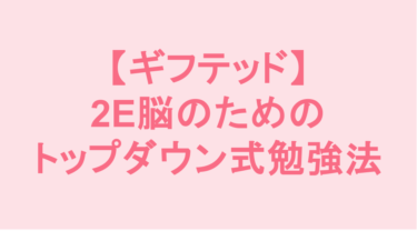 基礎からの積み上げは不要？「全体像」から把握したい2E脳のためのトップダウン式勉強法