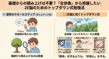 基礎からの積み上げは不要？「全体像」から把握したい2E脳のためのトップダウン式勉強法